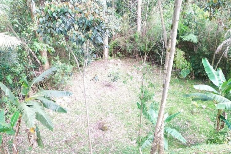 Finca en venta en Sabaneta Real, Sabaneta, 5700 m² · foto 12 de 13