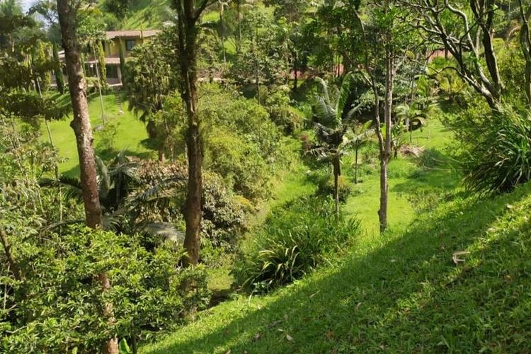 Finca en venta en Sabaneta Real, Sabaneta, 5700 m² · foto 13 de 13