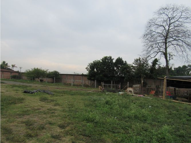 Lote en venta en Juanchito, Candelaria, 30000 m² · foto 2 de 5
