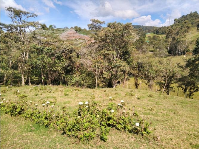 Lote en venta en Pantanillo, El Retiro, 14887 m² · foto 2 de 14