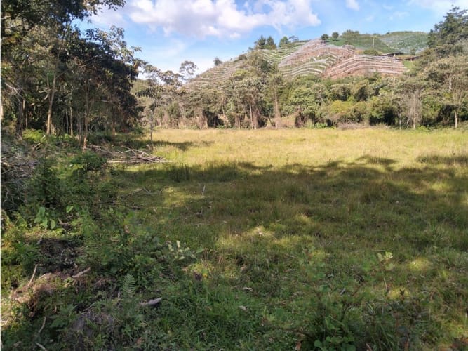 Lote en venta en Pantanillo, El Retiro, 14887 m² · foto 3 de 14