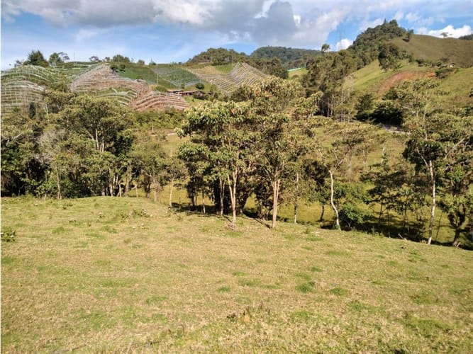 Lote en venta en Pantanillo, El Retiro, 14887 m² · foto 4 de 14