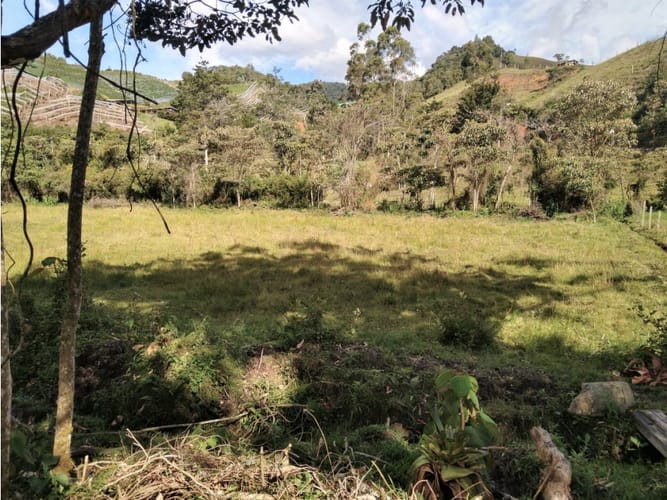 Lote en venta en Pantanillo, El Retiro, 14887 m² · foto 5 de 14
