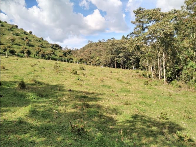 Lote en venta en Pantanillo, El Retiro, 14887 m² · foto 6 de 14