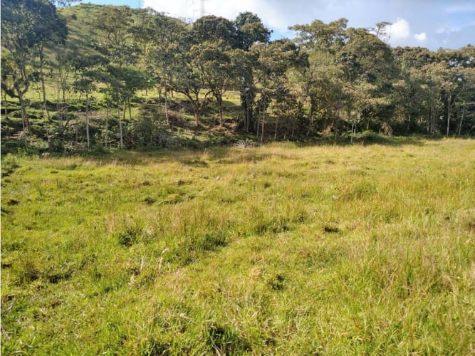 Lote en venta en Pantanillo, El Retiro, 14887 m² · foto 7 de 14