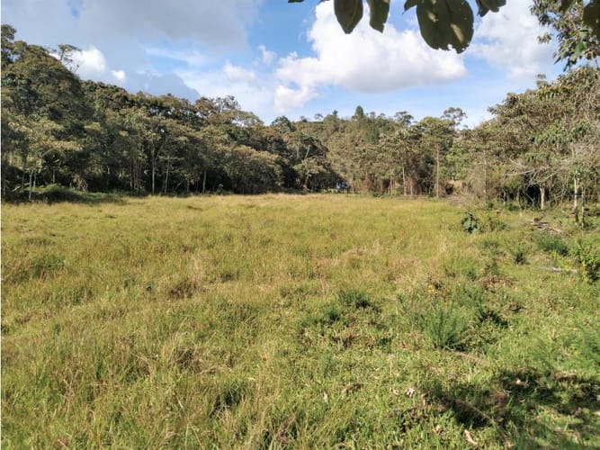 Lote en venta en Pantanillo, El Retiro, 14887 m² · foto 8 de 14