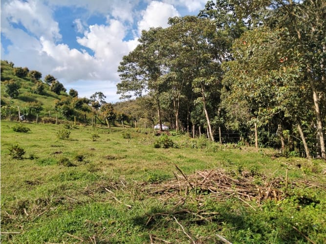 Lote en venta en Pantanillo, El Retiro, 14887 m² · foto 9 de 14