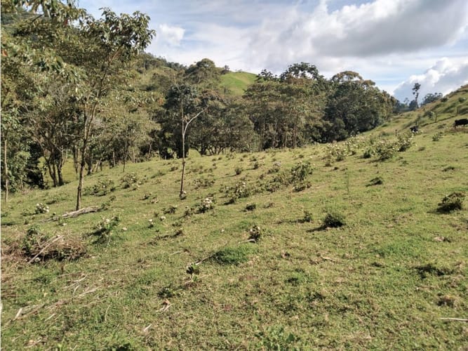 Lote en venta en Pantanillo, El Retiro, 14887 m² · foto 10 de 14