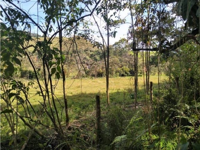 Lote en venta en Pantanillo, El Retiro, 14887 m² · foto 12 de 14