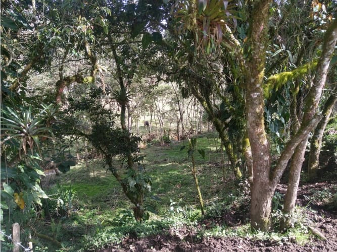 Lote en venta en Pantanillo, El Retiro, 14887 m² · foto 14 de 14