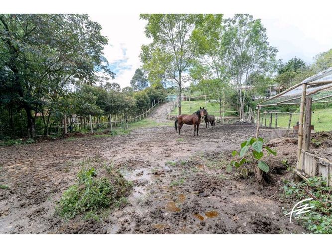 Finca en venta en El Colorado, Guarne, 410 m² · foto 14 de 24