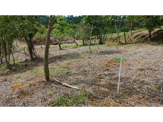Lote en venta en Cimarronas, Marinilla, 2500 m² · foto 2 de 5