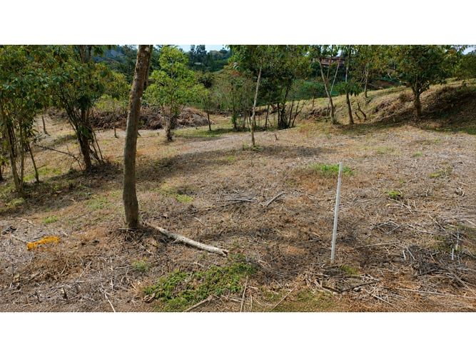 Lote en venta en Cimarronas, Marinilla, 2500 m² · foto 3 de 5