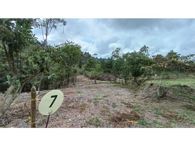 Lote en venta en Cimarronas, Marinilla, 2500 m² · foto 4 de 5