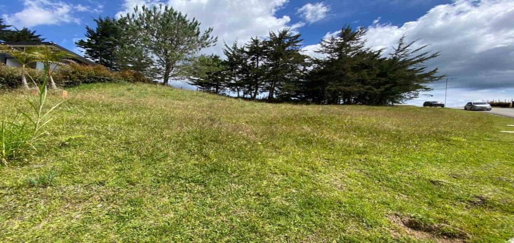 Lote en venta en El Chuscal, El Retiro, 1252 m² · foto 6 de 11