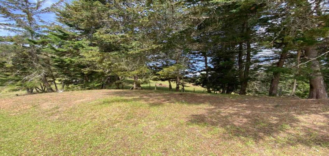 Lote en venta en El Chuscal, El Retiro, 1252 m² · foto 7 de 11
