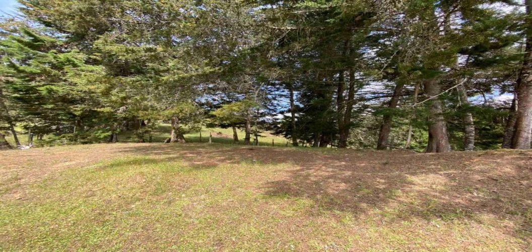 Lote en venta en El Chuscal, El Retiro, 1252 m² · foto 8 de 11