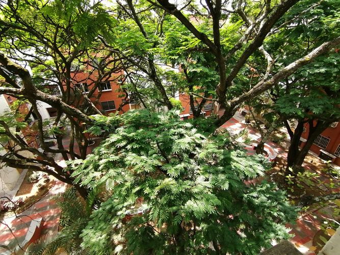 Apartamento en venta en Ciudad Los Alamos, Cali · foto 22 de 24