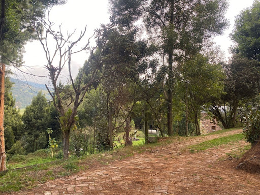 Casa en venta en Vereda El Salitre, La Calera · foto 22 de 24