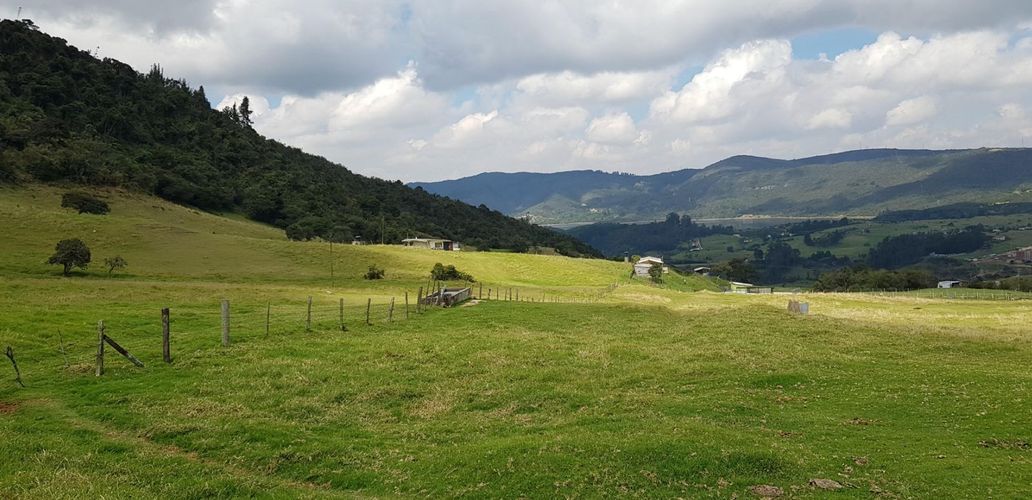 Lote en venta en La Plazuela, La Calera, 24651 m² · foto 3 de 5