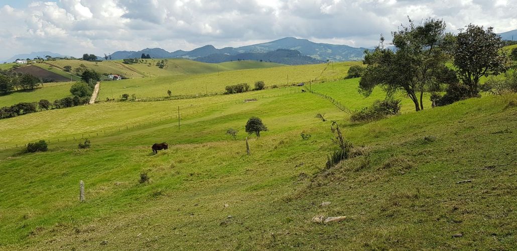 Lote en venta en La Plazuela, La Calera, 24651 m² · foto 5 de 5