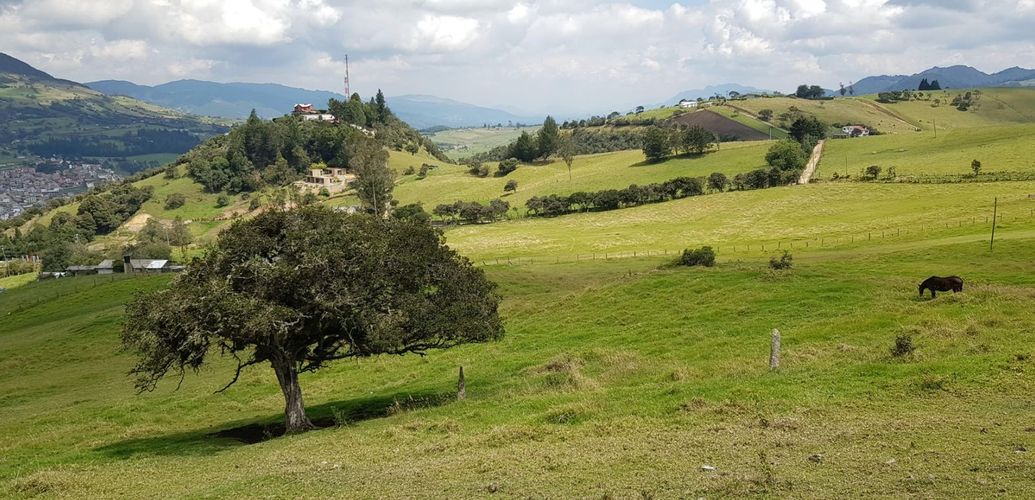 Lote en venta en La Plazuela, La Calera, 24651 m² · foto 2 de 5