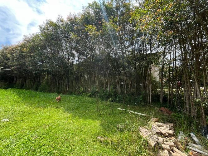 Lote en venta en Mesa De Los Santos, Piedecuesta, 2195 m² · foto 10 de 20