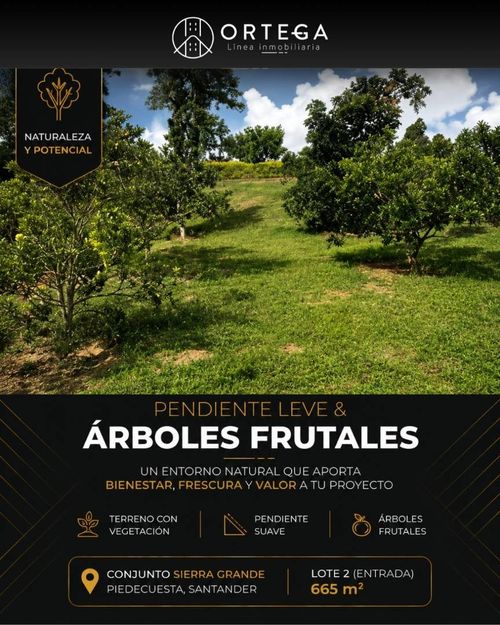 Lote en venta en Ruitoque, Piedecuesta, 665 m² · foto 3 de 6