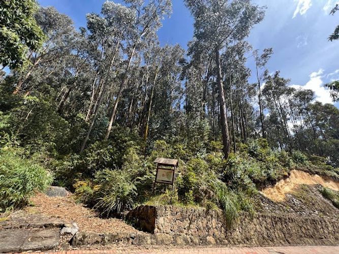 Lote en venta en Fusca, Chía, 3096 m² · foto 2 de 3