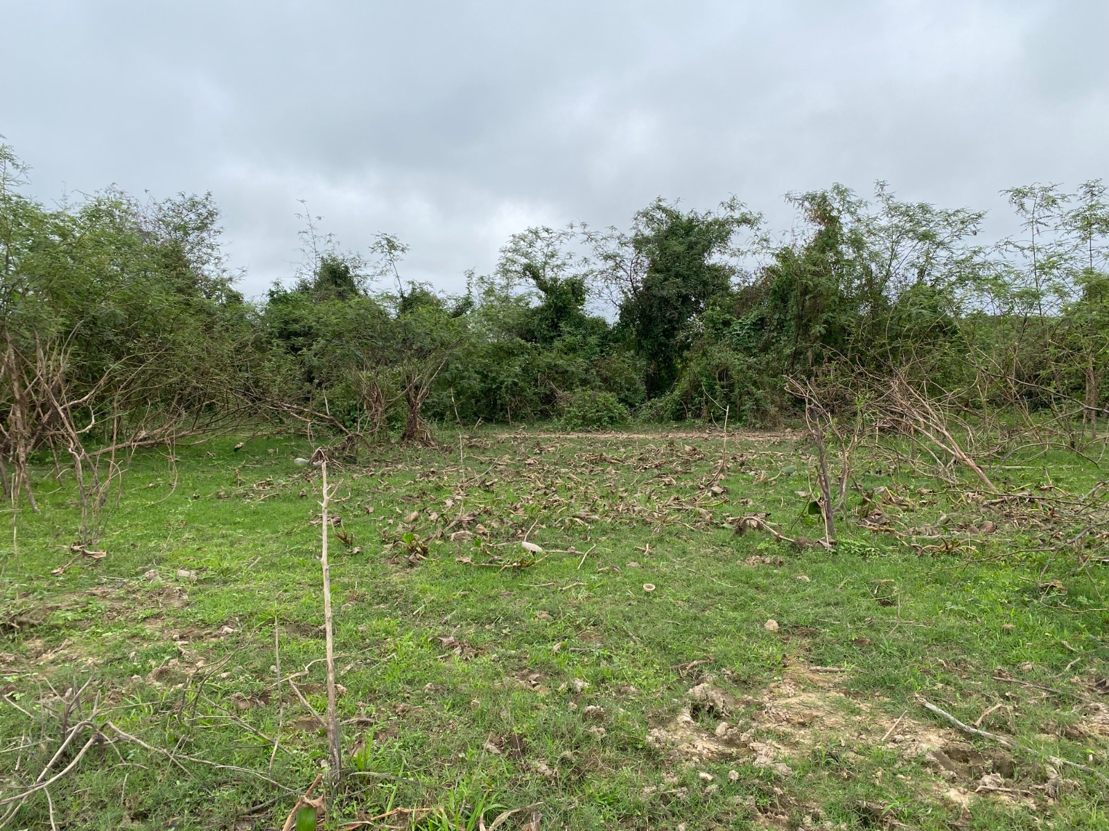 TERRENO EN COSTANERA DE VILLA HAYES EN VENTA (1.512 M2) — foto 3