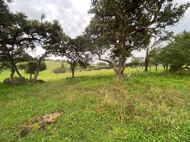 Lote en venta en Paso Real, La Calera, 5500 m² · foto 4 de 4