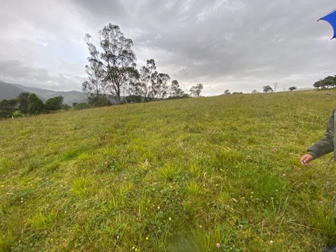 Lote en venta en Paso Real, La Calera, 5291 m² · foto 2 de 4