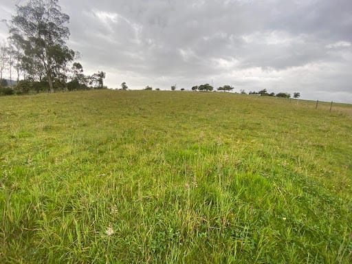 Lote en venta en Paso Real, La Calera, 5291 m² · foto 3 de 4