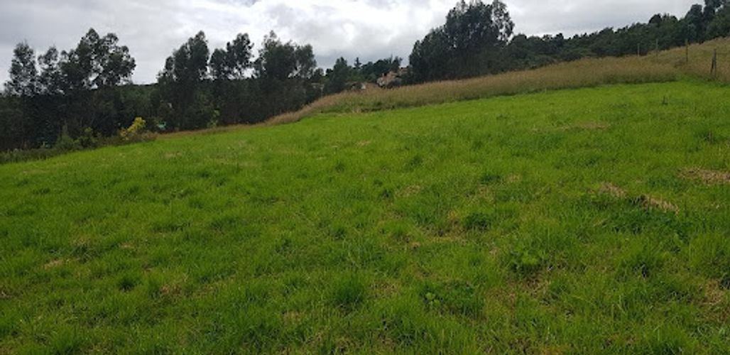 Lote en venta en Montana, Sopó, 2193 m² · foto 7 de 13