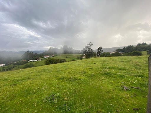 Lote en venta en Paso Real, La Calera, 5000 m² · foto 3 de 4