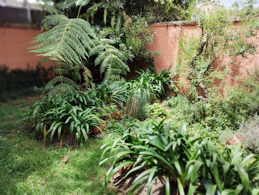 Casa en venta en Nuevo Country, Bogotá · foto 10 de 11