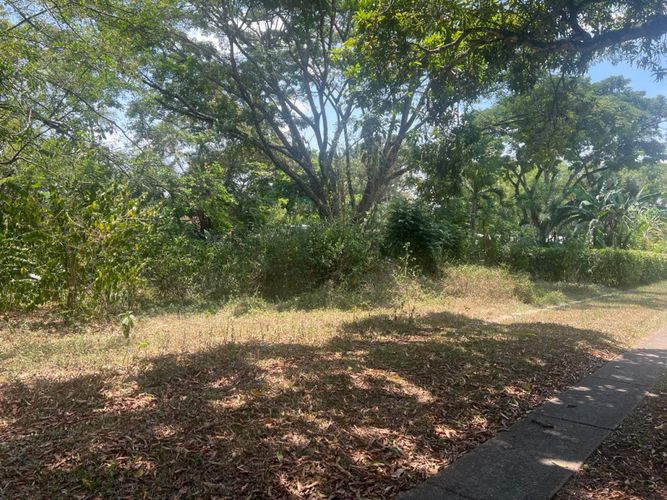 Lote en venta en Bochalema, Cali, 5376 m² · foto 6 de 18