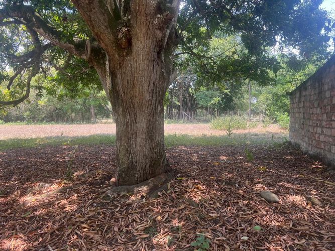 Lote en venta en Bochalema, Cali, 5376 m² · foto 10 de 18
