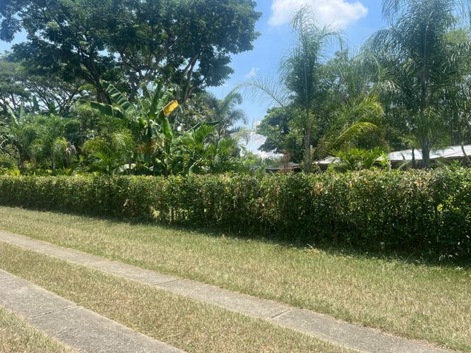 Lote en venta en Bochalema, Cali, 5376 m² · foto 14 de 18
