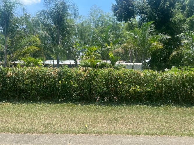 Lote en venta en Bochalema, Cali, 5376 m² · foto 15 de 18