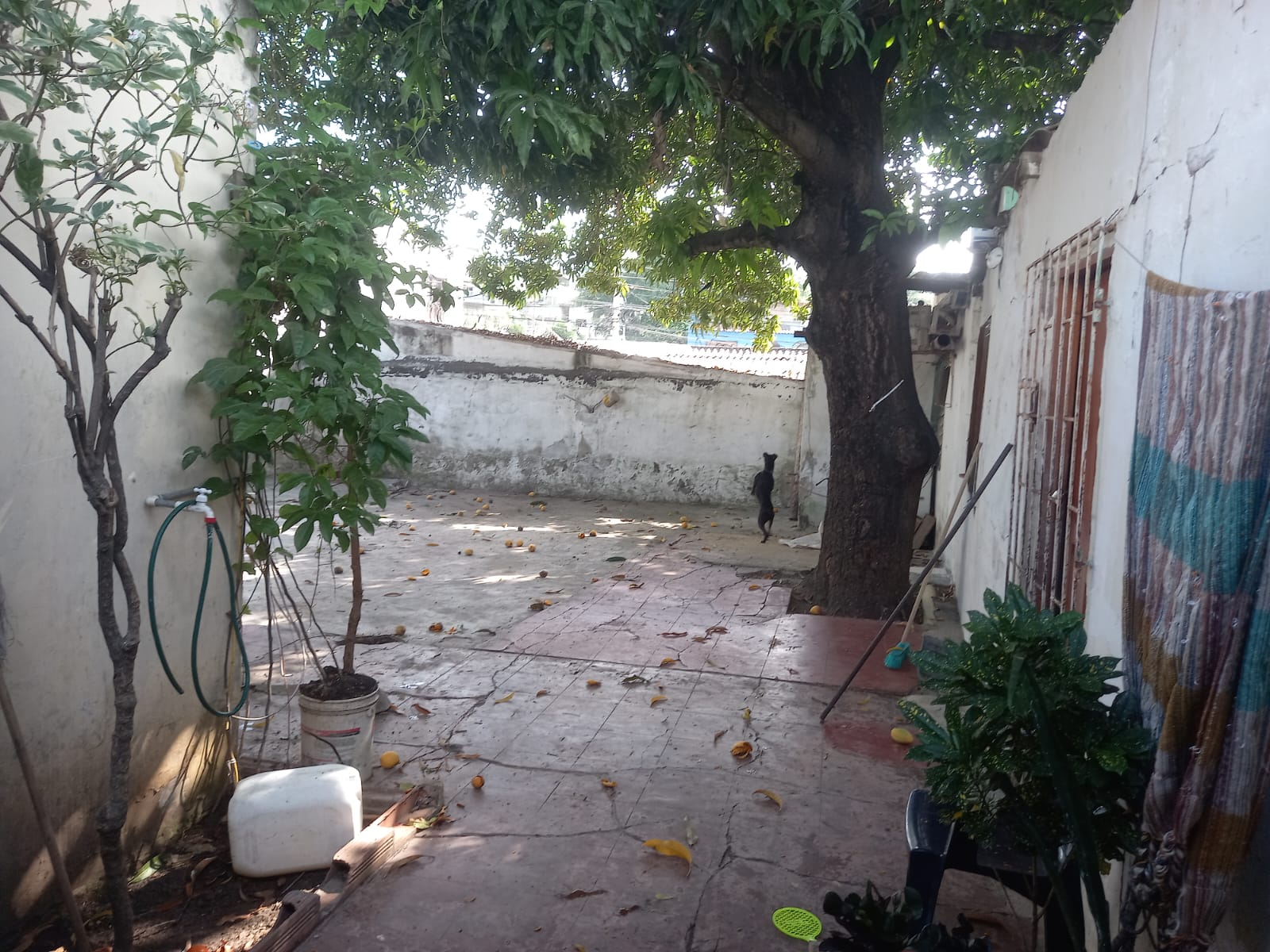 Casa en venta en Alto Bosque, Cartagena · foto 11 de 13