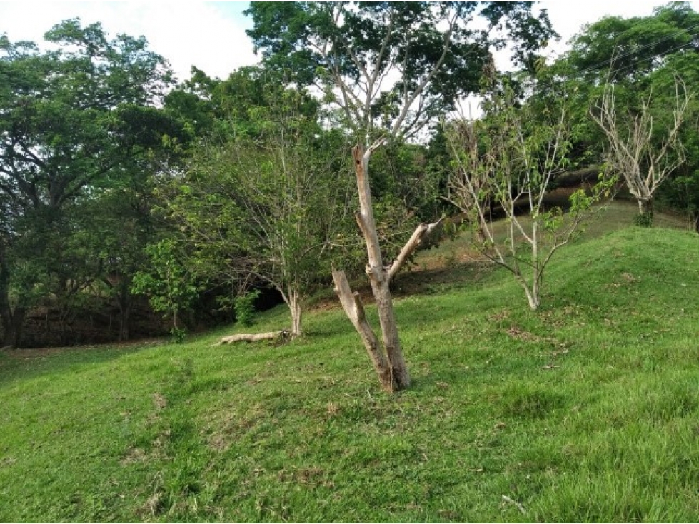 Land in Sopetran for Sale - 4