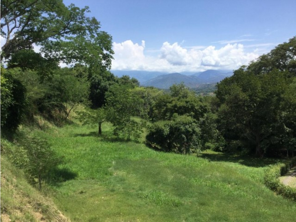 Land in Paso real for Sale