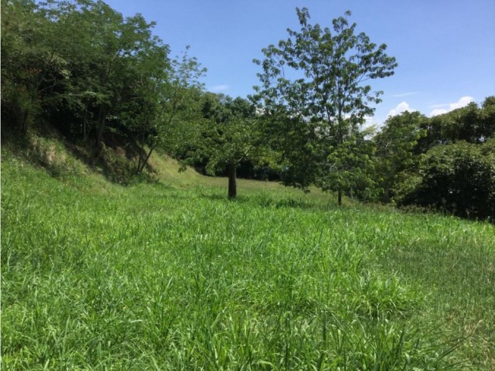 Land in Paso real for Sale - 2
