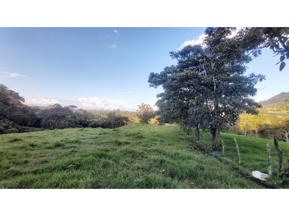 Land in Cabeceras de llanogrande for Sale