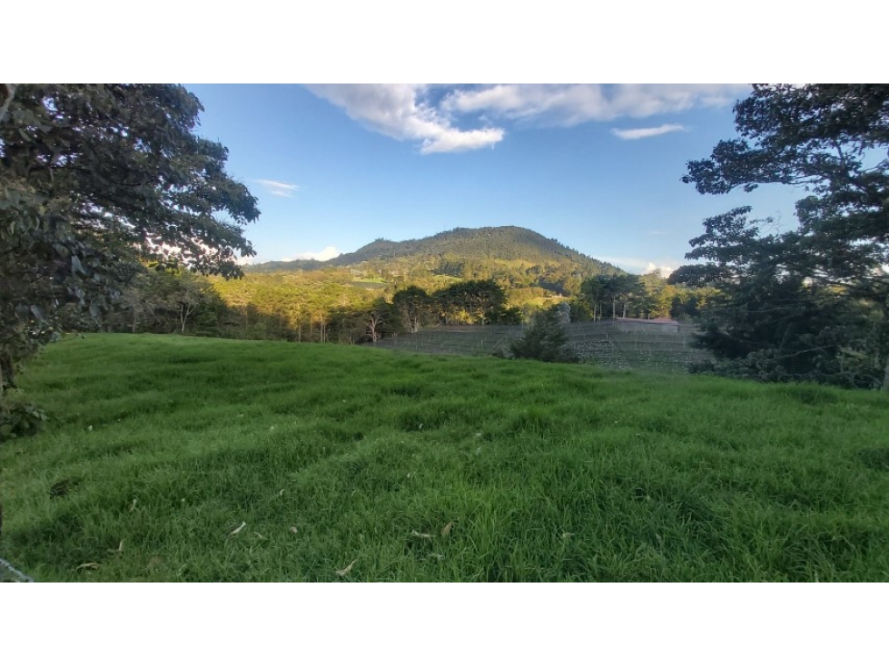 Land in Cabeceras de llanogrande for Sale - 2