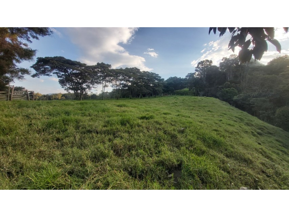 Land in Cabeceras de llanogrande for Sale - 3