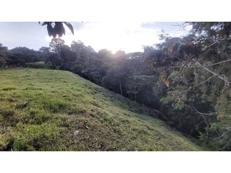 Land in Cabeceras de llanogrande for Sale - 4