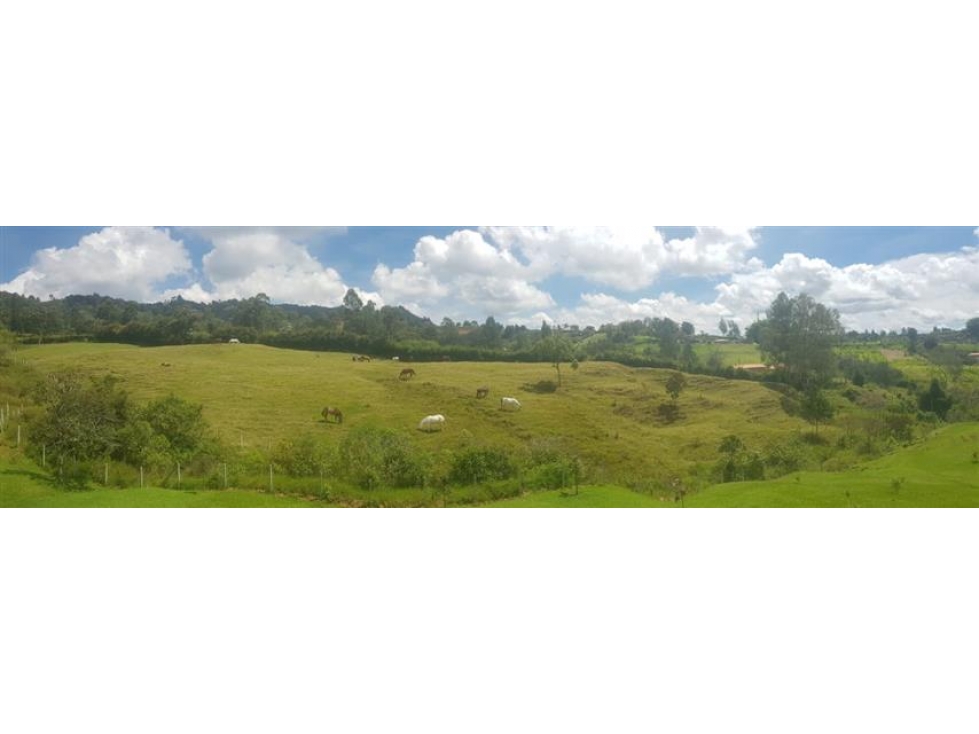 Land in Aeropuerto for Sale