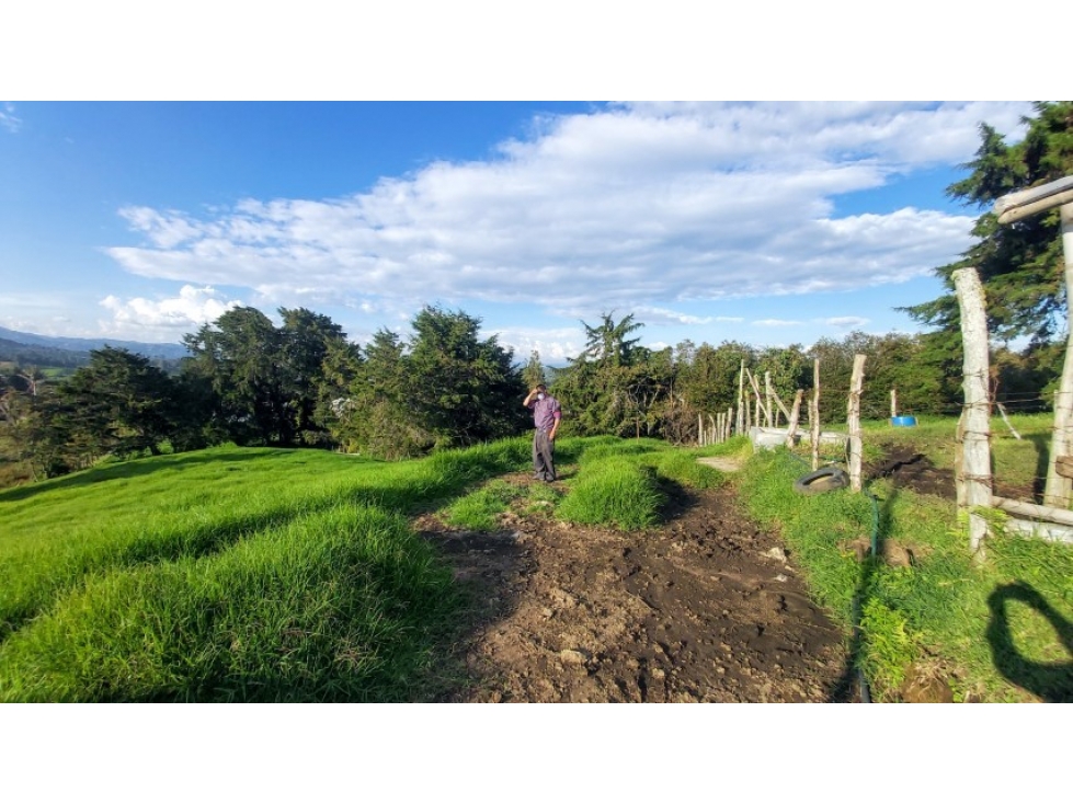 Land in Pontezuela for Sale